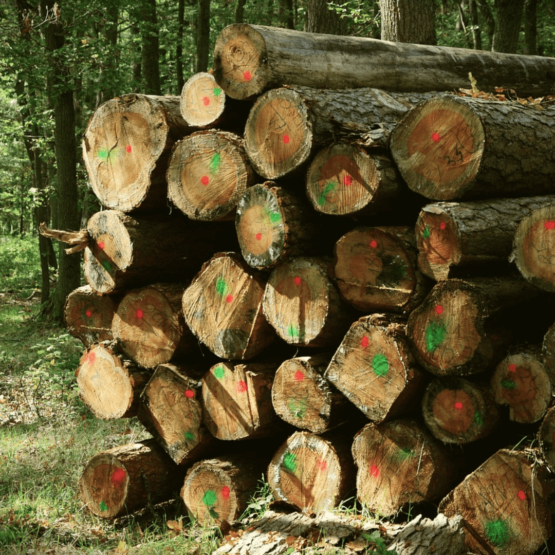 Choate Forestry Services